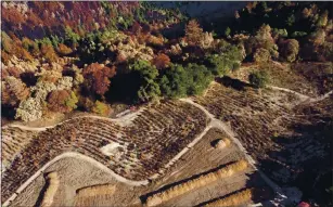  ??  ?? Burned trees and piles of wood chips are seen from this drone view at the Crest Ranch Christmas Tree Farm on Wednesday.