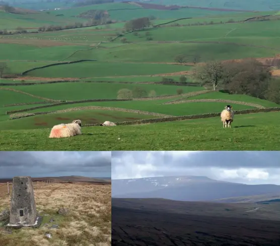  ??  ?? [ Captions clockwise from top]
The walled fields of the Eden Valley lead right up to the base of the North Pennines ; Looking south to a moody Cross Fell; Black Fell is the highest point on the walk