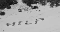  ?? (U.S. Coast Guard photo) ?? This photo provided by U.S. Coast Guard shows HELP” spelled out with palm fronds by three stranded mariners Monday on Pikelot Atoll, Yap State, Federated States of Micronesia. The three mariners are safe after the coordinati­on of U.S. Coast Guard Forces Micronesia/sector Guam and the U.S. Navy, after being stranded for more than a week.