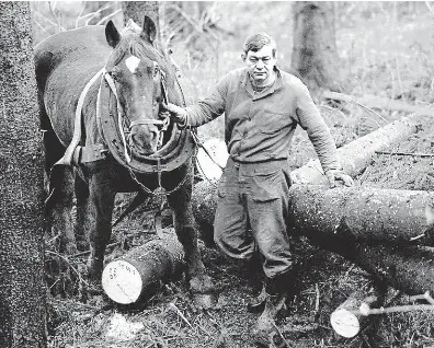  ?? Postihne podle Zdeňka Valného zisky Lesů ČR. A Lesy samy škemrání o dotace. FOTO MAFRA – ALEXANDR SATINSKÝ ?? Pád ke dnu