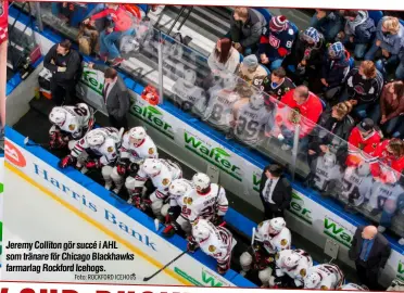  ?? Foto: ROCKFORD ICEHOGS ?? Jeremy Colliton gör succé i AHL som tränare för Chicago Blackhawks farmarlag Rockford Icehogs.