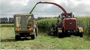  ?? PHOTO:FRITHA TAGG ?? Silage making.