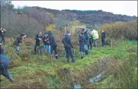  ??  ?? Planting wetland tree species – S1 and S2 pupils get stuck in at the castle.