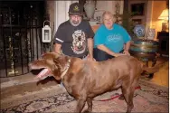  ?? LYNN KUTTER ENTERPRISE-LEADER ?? Robert and Carrin Devor of Pea Ridge pick up their chocolate Lab, Buford or “Boo,” in Prairie Grove last week. The dog had been missing for about seven years.