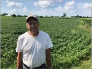  ?? AP PHOTO BY CARRIE ANTLFINGER ?? Farmer Michael Slattery stands in front of his soybean field, Tuesday, July 24, in Maribel, Wis. He and his wife farm 300 acres of mostly soybean and corn, but they also have wheat and alfalfa.