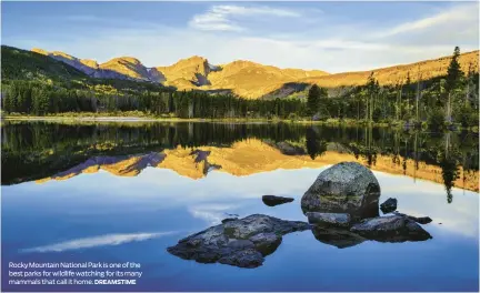  ?? DREAMSTIME ?? Rocky Mountain National Park is one of the best parks for wildlife watching for its many mammals that call it home.