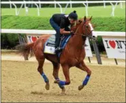  ?? PHOTO ADAM COGLIANESE/NYRA ?? Justify gallops during a workout at Belmont Park June 7 prior to Saturday’s Belmont Stakes.