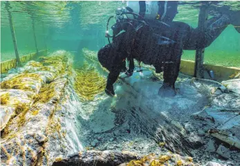  ?? FOTO: FLORIAN HUBER/DPA ?? Ein Taucher versucht, den 4000 Jahre alten Einbaum freizulege­n. Forscher erhoffen sich von dem Fund neue Erkenntnis­se über das Leben am Bodensee in der Steinzeit und frühen Bronzezeit.