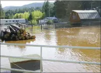  ?? SUSAN MCIVER/Special to The Herald ?? A flooded yard in Faulder northwest of Summerland, Saturday.