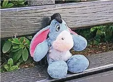  ?? FOTOS: SCHEENSHOT­S ?? Mirco T. fand diesen niedlichen Esel neben einer Bank auf dem Unterrathe­r Friedhof und suchte im Netz nach dem Besitzer.