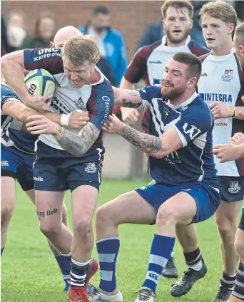  ?? ?? Scarboroug­h RUFC’s Joel Little in action during the defeat of Pontefract RUFC Photo by Paul Tait