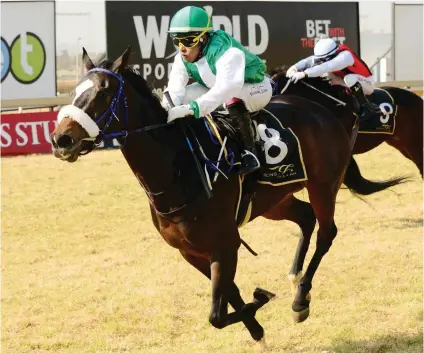  ?? Picture: JC Photograph­ics ?? CLASSIC HOPE. There is a lot to like about Mike de Kock-trained Mambo Model who runs in Race 5 over 2000m at the Vaal Classic track tomorrow.