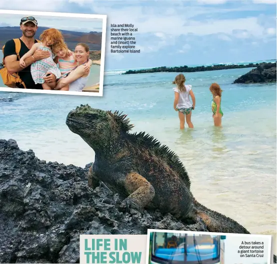  ??  ?? Isla and Molly share their local beach with a marine iguana and (inset) the family explore Bartolomé Island