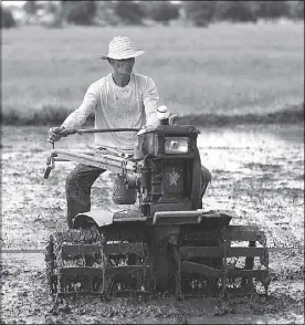  ?? MICHAEL VARCAS ?? A farmer uses a tractor to plow a ricefield in Pulilan, Bulacan yesterday.