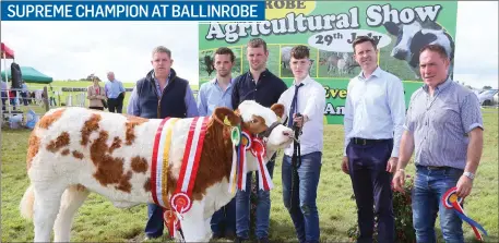  ??  ?? Paul Mullarkey, Ballinfull, Co Sligo showing Supreme Champion of Show at Ballinrobe Agricultur­al Show 2018; included in photo are, from left: Andrew McCarthy, Mullagh, Co Clare; Declan and Martin McLaughlin, (Judges) Paul Mullarkey (handler)and Chris...