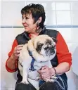  ?? FOTO: DPA ?? Mops-Expertin Uschi Ackermann mit ihrem Hund Sir Henri