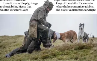  ?? ?? Shaun starts to dig — ferreting without a good marking dog is much harder but this is no picnic