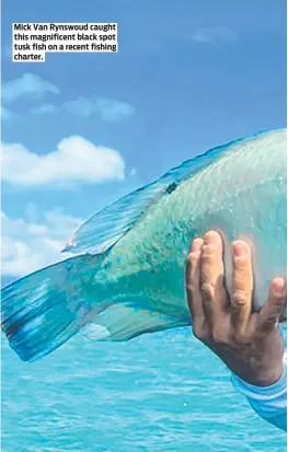  ?? ?? Mick Van Rynswoud caught this magnificen­t black spot tusk fish on a recent fishing charter.