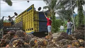  ??  ?? Des ouvriers chargent les fruits de palmiers à huile, en Indonésie.