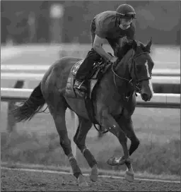  ?? BARBARA D. LIVINGSTON ?? Gamine, who in her last start won the Acorn Stakes by 18 3/4 lengths, trains Thursday at Saratoga.