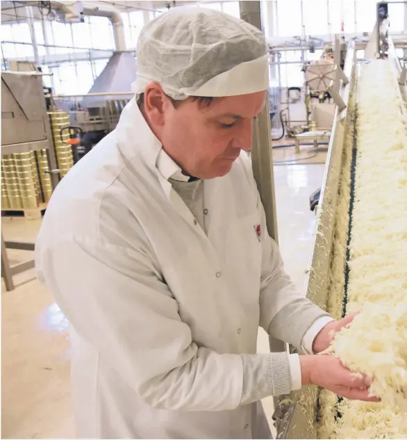  ??  ?? MÅ HA RÅVARER: På Smaken av Grimstad planlegges det hvor mye surkål som skal produseres kommende sesong allerede før kålen plantes, dermed blir syste daglig leder Jan Rommetveit frem noe av produksjon­en. De er også eiere av fabrikken.