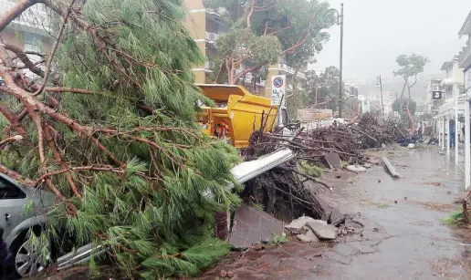  ?? Ansa ?? Terracina Uno dei tanti alberi caduti sulle strade a Roma e in tutto il litorale del Lazio