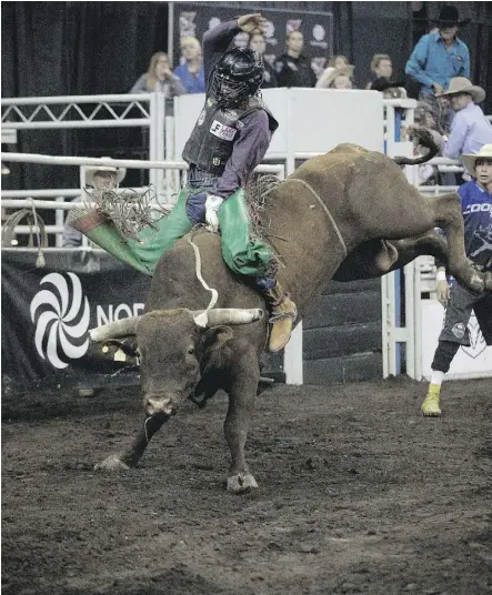  ?? DAVID BLOOM ?? Bull rider Josh Frost rides Cage Fighter during the K-Days Rodeo on Sunday.