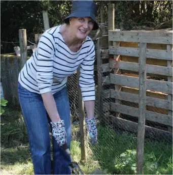  ??  ?? Yvonne Morris replanting a wildflower patch in the Benwiskin Centre Organic Garden last Thursday.