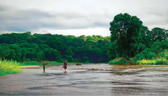  ??  ?? Una foto di repertorio di Wayne Lotter, mentre è di pattuglia con uno scout in un parco tanzaniano. La sua associazio­ne Pams Foundation porta avanti vari progetti di conservazi­one nei parchi Tarangire, lago Manyara e Ruvuma.