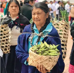  ??  ?? Tubérculos andinos usados en la cocina pastusa y sus alrededore­s. Campesinas nariñenses exhibiendo los productos de la región.