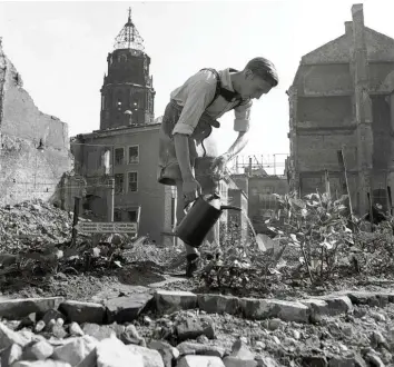  ?? Foto: Deutsche Fotothek/Richard Peter sen./picture alliance ?? Neues Leben ersteht in den Trümmern: Ein junger Mann pflegt 1947 ein Gemüsebeet mitten im zerstörten Dresden (hinten das Neue Rathaus). Heute, so Autor Jähner, hieße das „Urban Gardening“.