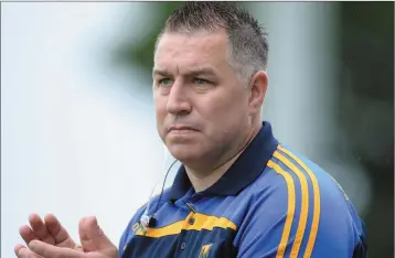  ??  ?? Wicklow boss Johnny Magee.