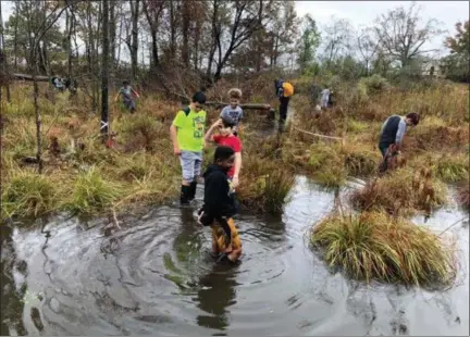  ?? PHOTO SUBMITTED BY POTTSTOWN SCHOOL DISTRICT ?? Pottstown Middle School sixth graders wade into the waters of the Chesapeake Bay during a week-long visit to the NorthBay environmen­tal education center in Maryland.