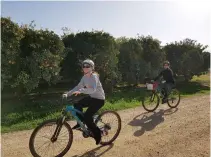  ?? (Taly Sharon/Michael Sharon) ?? KFAR BLUM is in full bloom, and what better way to see the area than with Tiyulei Hadan, located in Kibbutz Dafna, which rents bikes of all types.