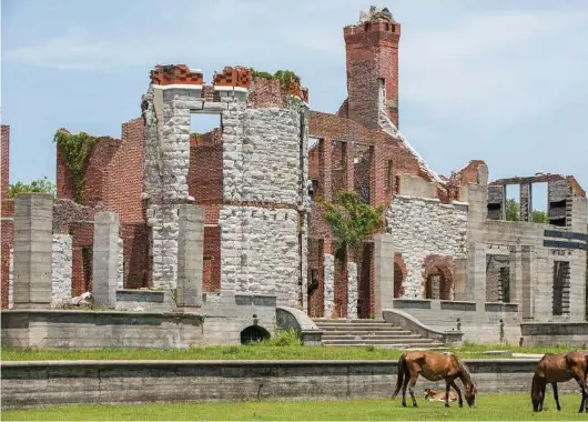  ??  ?? Wild horses graze in the lawn of Dungeness, a mansion built by Lucy and Thomas Carnegie that was largely abandoned by the 1930s, on Cumberland Island last month. The island offers memorable meals, fine fishing, wild horses, empty beaches and a rich...