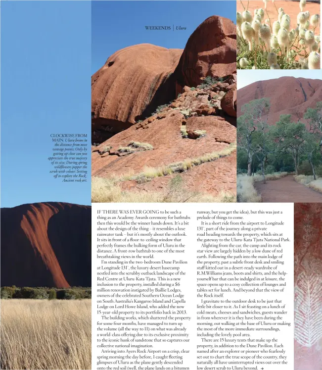  ??  ?? CLOCKWISE FROM MAIN: Uluru looms in the distance from most vantage points; Only by getting up close can you appreciate the true majesty of its size; During spring wildflower­s pepper the scrub with colour; Setting off to explore the Rock ; Ancient rock art.