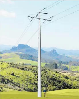  ??  ?? Artist’s impression of the new 110kV power line Top Energy wants to build from Kerikeri to Kaita¯ ia, the person included shows the height of the 22-metre poles to be used.