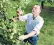  ??  ?? Tim Bunting lost his contract to supply cider-maker Bulmers in February and now fears for the future of his orchard