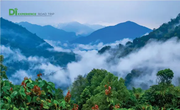  ??  ?? Clockwise from top:
Arunachal Pradesh teems with snow-clad hills and dense forests; Chowkham is a quaint village en route from Namsai to Roing; brave the rapids at the Siang Rush rafting expedition; Abor Country River Camp offers luxury camping in the thick woods of Pasighat; buy dried fish pickles and bhut jolokia (ghost peppers) at the Pasighat Market.