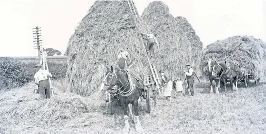  ?? ?? This Carnoustie scene from the summer of 1935 shows workers stacking hay using traditiona­l means, with no machinery to be seen.