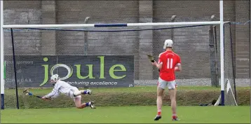  ??  ?? Glenealy’s Gary Hughes watches as Eoghan O’Mahoney pulls off one a number of superb saves.