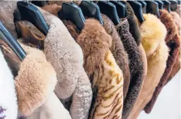  ?? DREAMSTIME ?? Changing sensibilit­ies have vastly reduced the popularity of wearing fur.