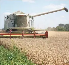  ?? FOTO: WOLFGANG KAISER ?? Optimal wird die Ernte dieses Jahr nicht, so viel können die Landwirte jetzt schon sagen.