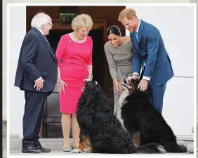  ??  ?? Stars of the show: The Áras dogs Bród and Síoda are a big hit