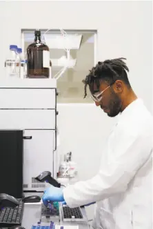  ?? Lea Suzuki / The Chronicle ?? Lab technician and research assistant Jibril Kyser prepares cannabis samples for testing at the Steep Hill lab in Berkeley.