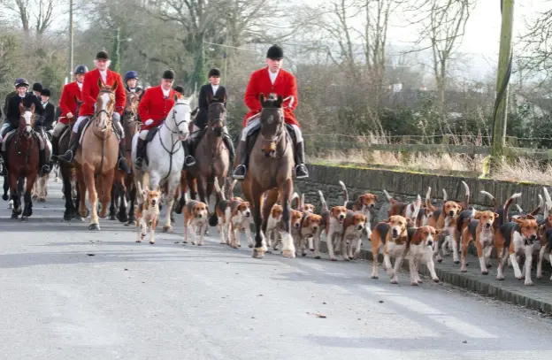  ??  ?? Above: David Lalor MFH (on the chestnut) moving off with the Laois foxhounds. Previous page:
Georgina Preston’s Valentine – the perfect stamp