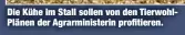  ??  ?? Die Kühe im Stall sollen von den TierwohlPl­änen der Agrarminis­terin profitiere­n.