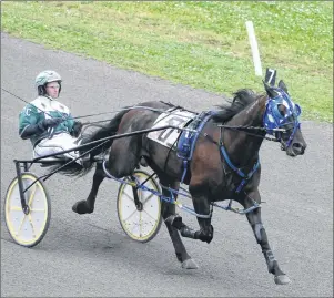  ?? JASON SIMMONDS/JOURNAL PIONEER ?? Ys Lotus is looking to win back-to-back Gold Cup and Saucer titles at Red Shores Racetrack and Casino at the Charlottet­own Driving Park on Saturday night.