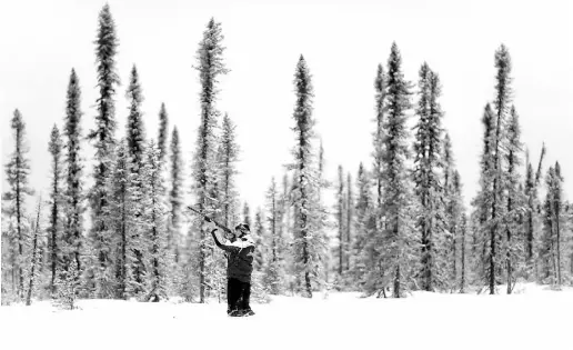  ??  ?? Ben Tozer, William’s son and protégé, is following in his father’s footsteps. Along with baiting and setting marten traps with his father, he also hunts for food, such as partridge, wherever possible along the way.
Below: Ben hands his father a marten...