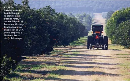  ??  ?? AL ALZA. Instalacio­nes de Los Grobo, en la provincia de Buenos Aires, y de San Miguel, en Tucumán. Gustavo Grobocopat­el se quedó con el 24% de su empresa y Mariano Bosch dirige Adecoagro.